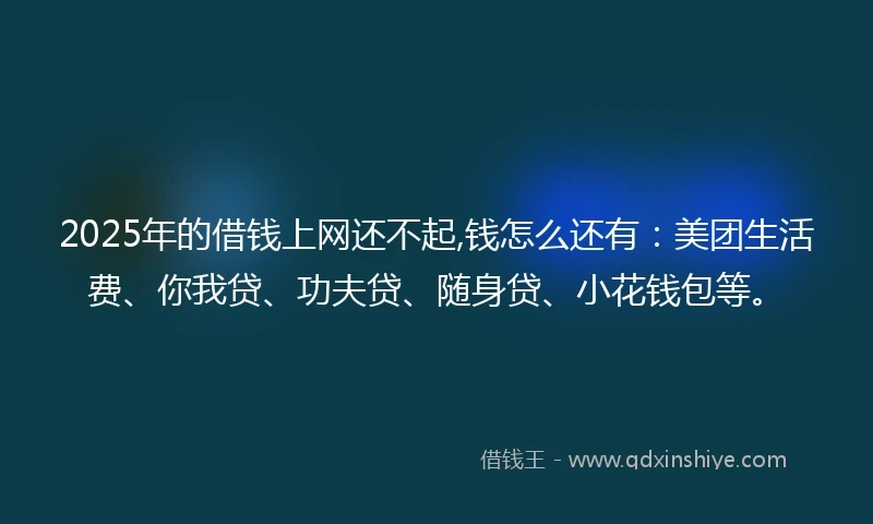 2025年的借钱上网还不起,钱怎么还有：美团生活费、你我贷、功夫贷、随身贷、小花钱包等。