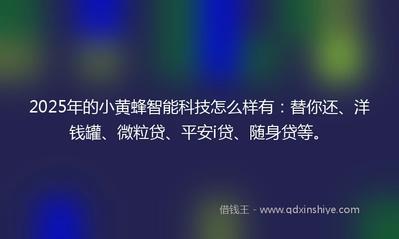 2025年的小黄蜂智能科技怎么样有：替你还、洋钱罐、微粒贷、平安i贷、随身贷等。
