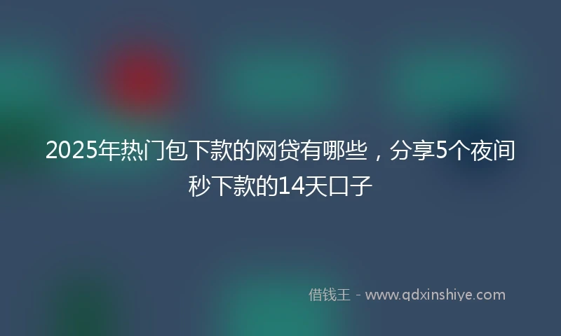 2025年热门包下款的网贷有哪些，分享5个夜间秒下款的14天口子