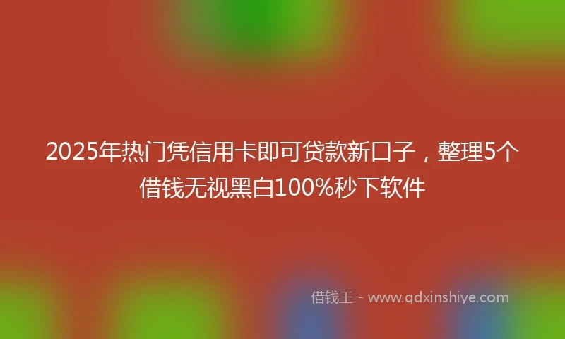 2025年热门凭信用卡即可贷款新口子，整理5个借钱无视黑白100%秒下软件