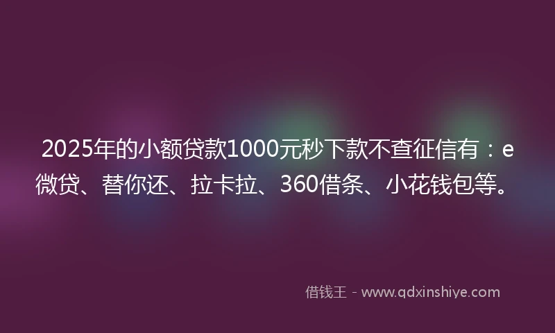 2025年的小额贷款1000元秒下款不查征信有：e微贷、替你还、拉卡拉、360借条、小花钱包等。