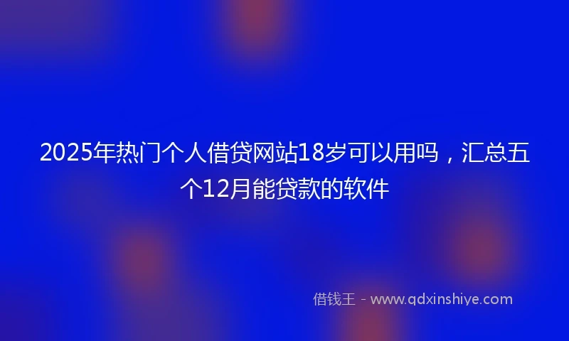 2025年热门个人借贷网站18岁可以用吗，汇总五个12月能贷款的软件