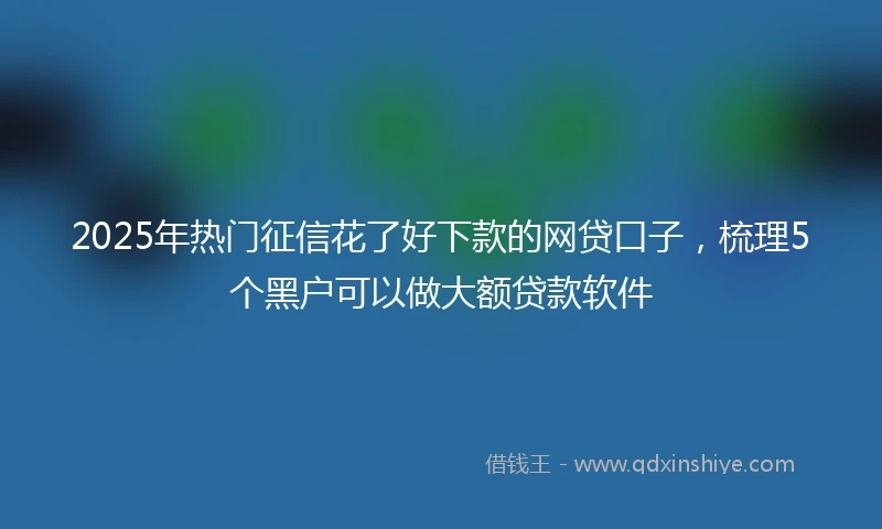 2025年热门征信花了好下款的网贷口子，梳理5个黑户可以做大额贷款软件