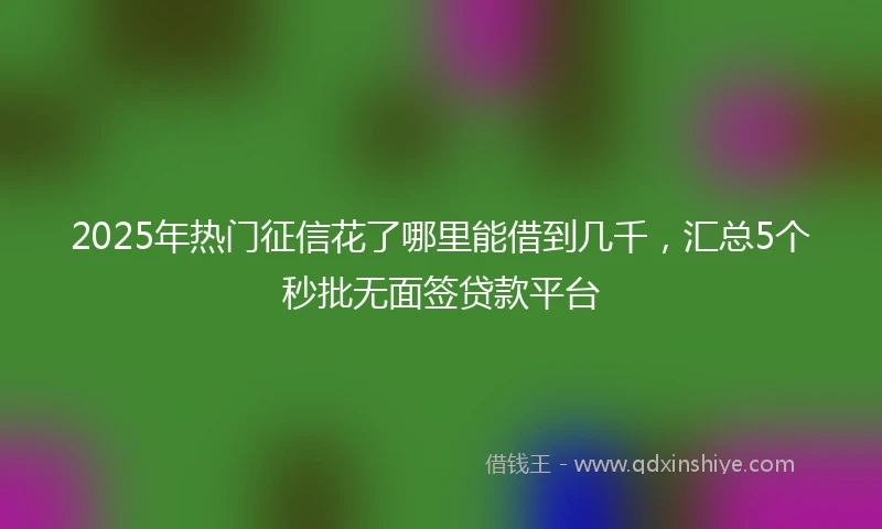 2025年热门征信花了哪里能借到几千，汇总5个秒批无面签贷款平台