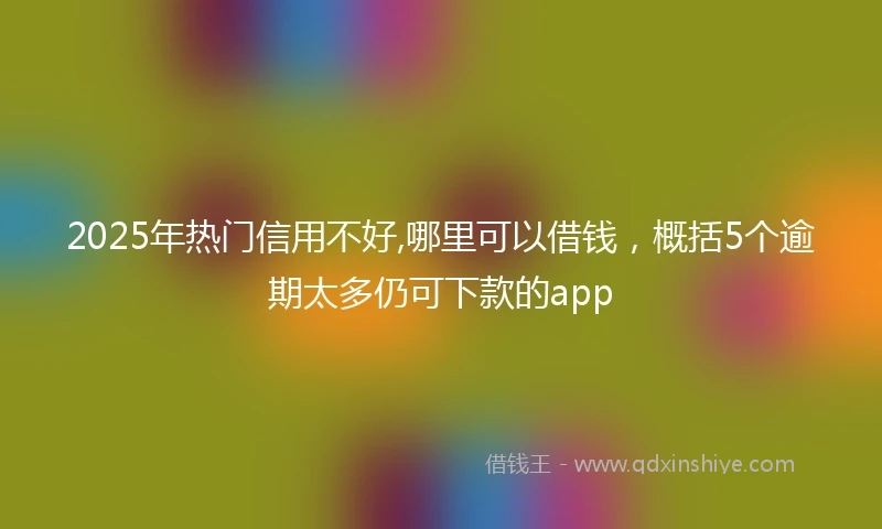 2025年热门信用不好,哪里可以借钱，概括5个逾期太多仍可下款的app