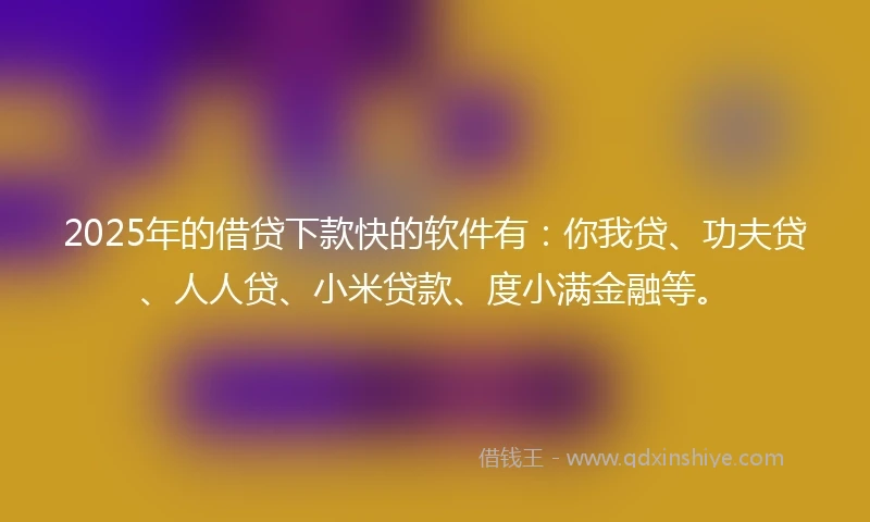 2025年的借贷下款快的软件有：你我贷、功夫贷、人人贷、小米贷款、度小满金融等。