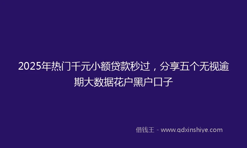 2025年热门千元小额贷款秒过，分享五个无视逾期大数据花户黑户口子