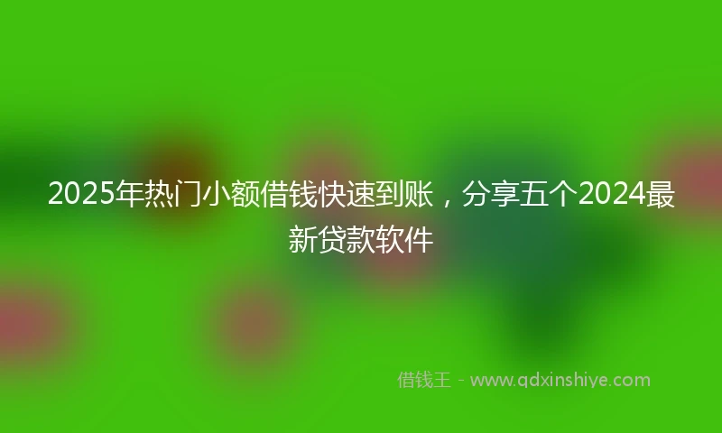 2025年热门小额借钱快速到账，分享五个2024最新贷款软件