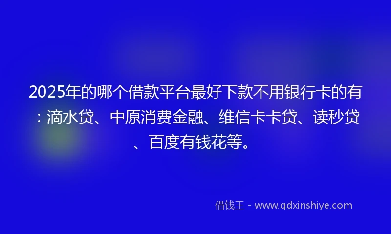 2025年的哪个借款平台最好下款不用银行卡的有：滴水贷、中原消费金融、维信卡卡贷、读秒贷、百度有钱花等。