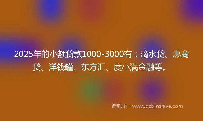 2025年的小额贷款1000-3000有：滴水贷、惠商贷、洋钱罐、东方汇、度小满金融等。
