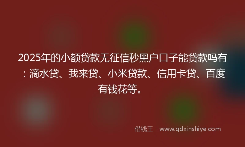 2025年的小额贷款无征信秒黑户口子能贷款吗有：滴水贷、我来贷、小米贷款、信用卡贷、百度有钱花等。
