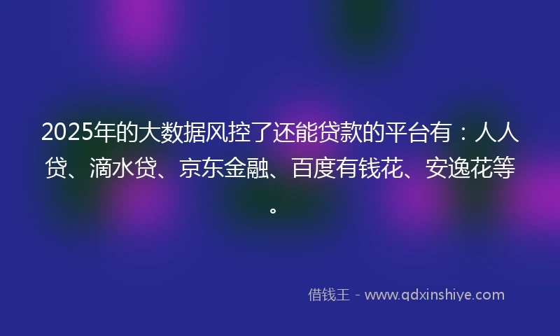 2025年的大数据风控了还能贷款的平台有：人人贷、滴水贷、京东金融、百度有钱花、安逸花等。