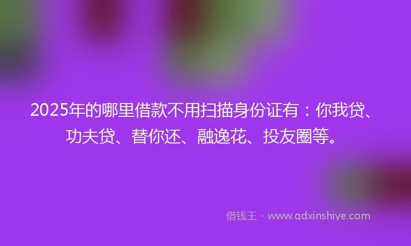 2025年的哪里借款不用扫描身份证有：你我贷、功夫贷、替你还、融逸花、投友圈等。