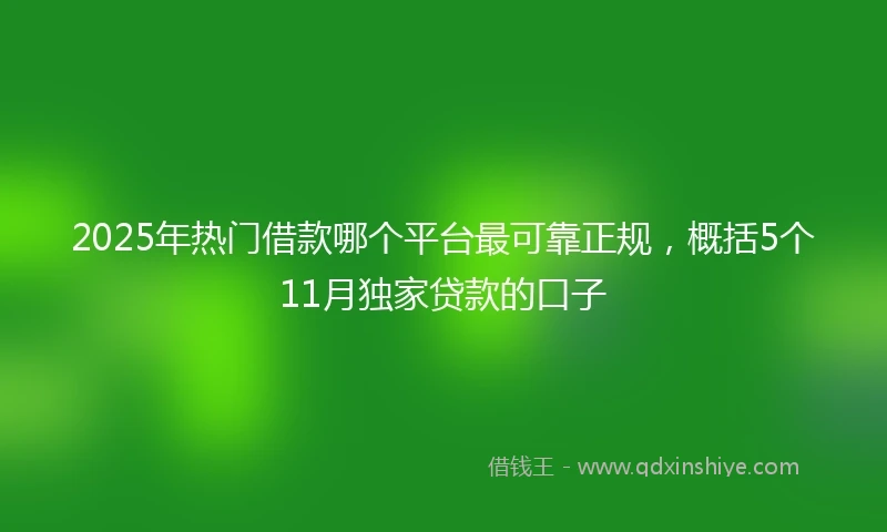 2025年热门借款哪个平台最可靠正规，概括5个11月独家贷款的口子