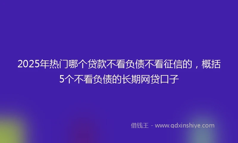 2025年热门哪个贷款不看负债不看征信的，概括5个不看负债的长期网贷口子