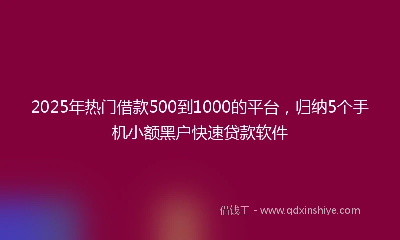 2025年热门借款500到1000的平台，归纳5个手机小额黑户快速贷款软件