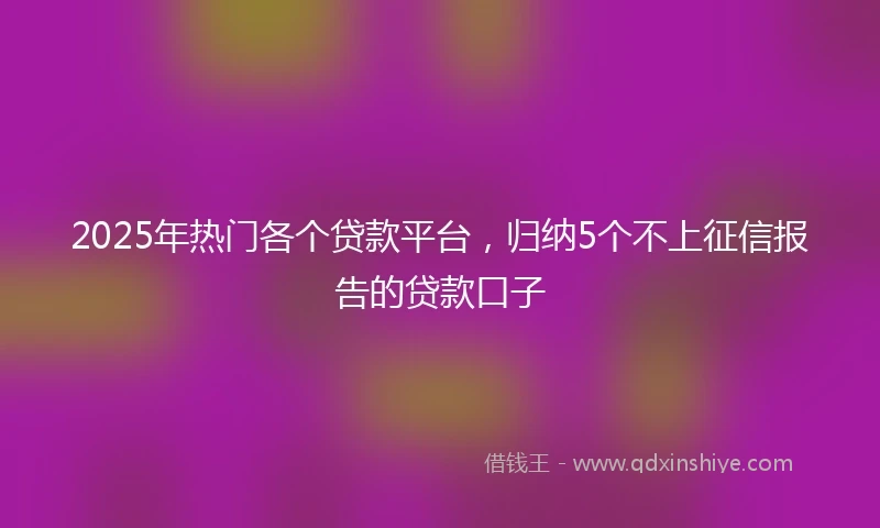2025年热门各个贷款平台，归纳5个不上征信报告的贷款口子
