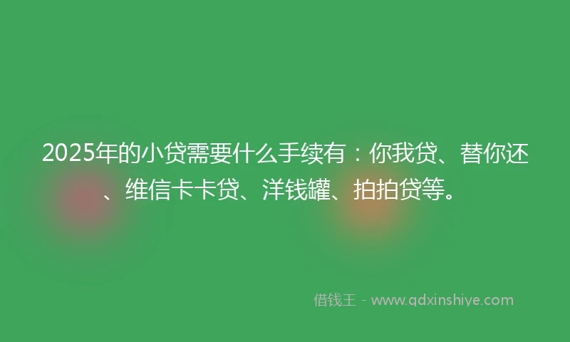 2025年的小贷需要什么手续有：你我贷、替你还、维信卡卡贷、洋钱罐、拍拍贷等。