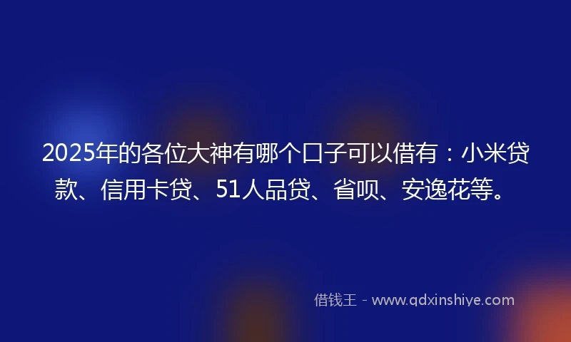 2025年的各位大神有哪个口子可以借有：小米贷款、信用卡贷、51人品贷、省呗、安逸花等。