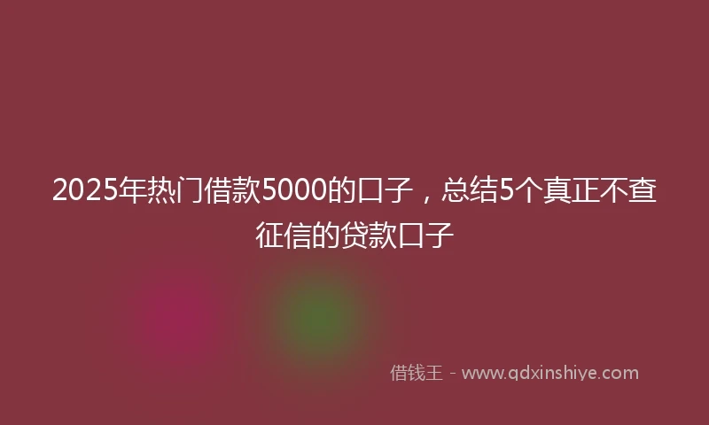 2025年热门借款5000的口子，总结5个真正不查征信的贷款口子