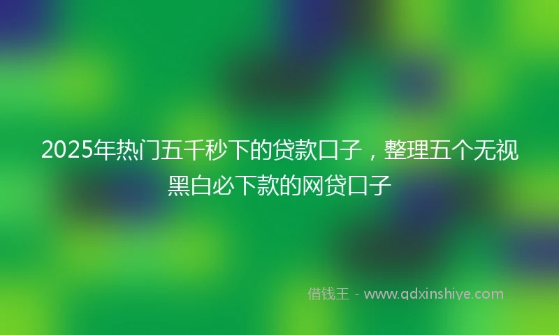 2025年热门五千秒下的贷款口子，整理五个无视黑白必下款的网贷口子