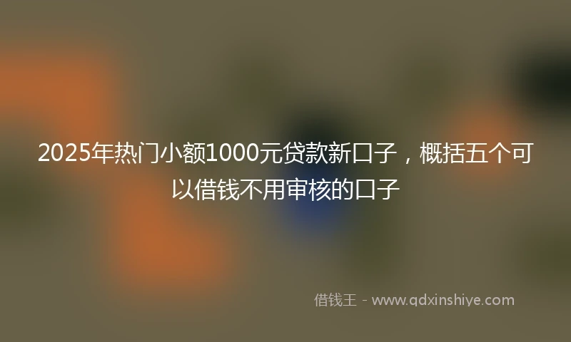 2025年热门小额1000元贷款新口子，概括五个可以借钱不用审核的口子