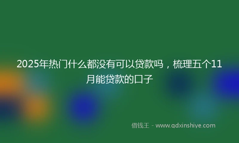 2025年热门什么都没有可以贷款吗，梳理五个11月能贷款的口子