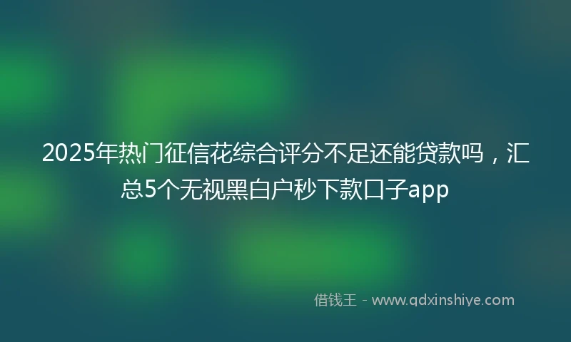 2025年热门征信花综合评分不足还能贷款吗，汇总5个无视黑白户秒下款口子app