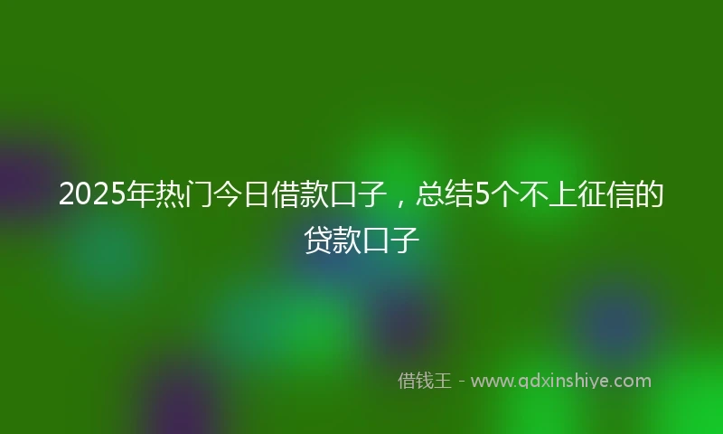 2025年热门今日借款口子，总结5个不上征信的贷款口子