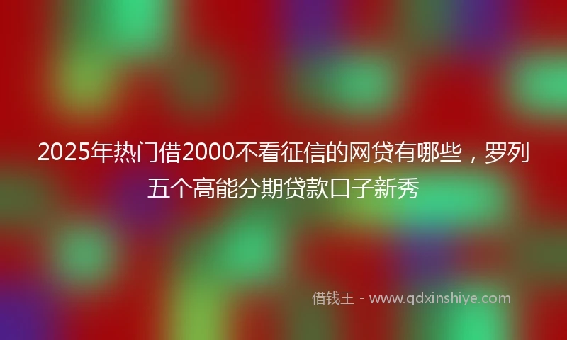 2025年热门借2000不看征信的网贷有哪些，罗列五个高能分期贷款口子新秀