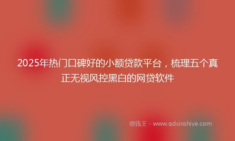 2025年热门口碑好的小额贷款平台，梳理五个真正无视风控黑白的网贷软件