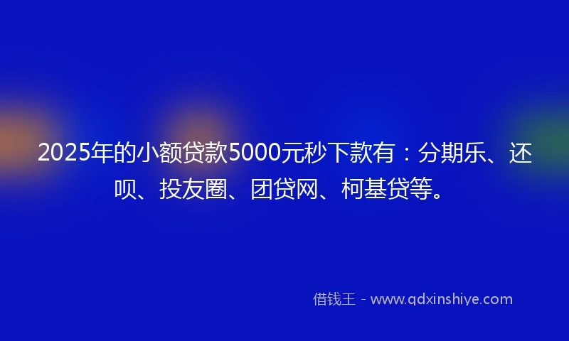 2025年的小额贷款5000元秒下款有：分期乐、还呗、投友圈、团贷网、柯基贷等。