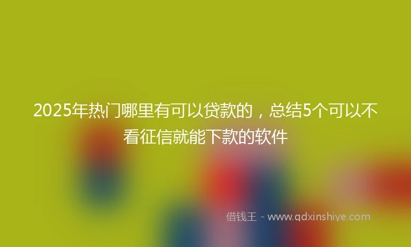 2025年热门哪里有可以贷款的，总结5个可以不看征信就能下款的软件