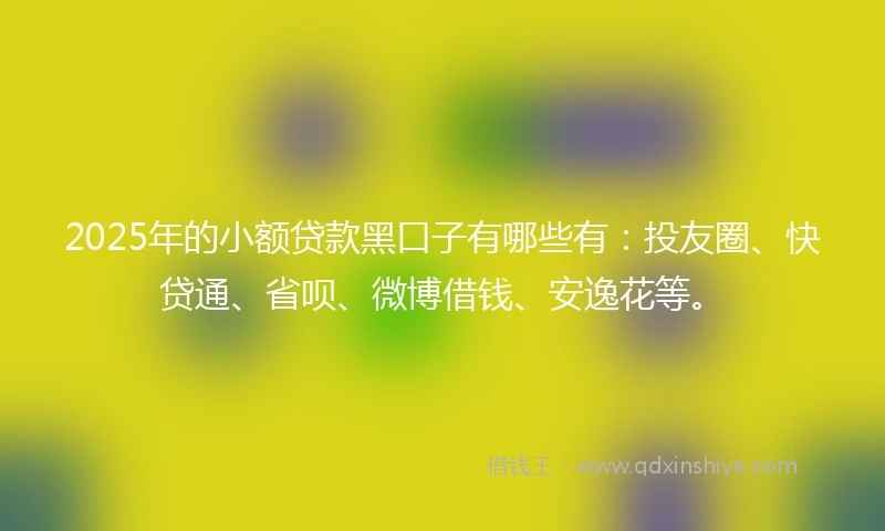 2025年的小额贷款黑口子有哪些有：投友圈、快贷通、省呗、微博借钱、安逸花等。