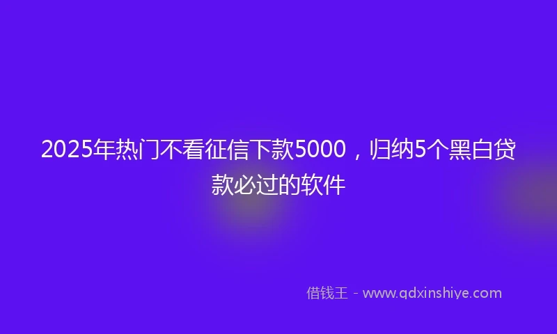 2025年热门不看征信下款5000，归纳5个黑白贷款必过的软件