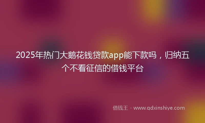 2025年热门大鹅花钱贷款app能下款吗，归纳五个不看征信的借钱平台