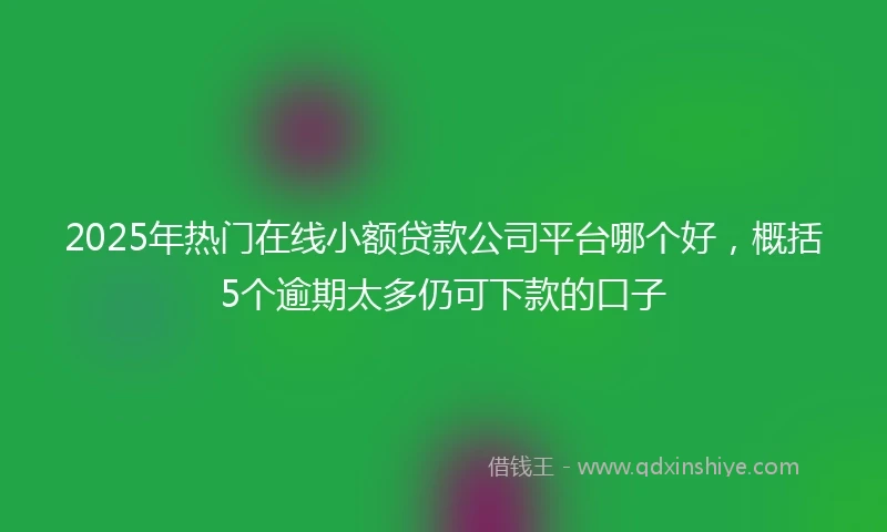 2025年热门在线小额贷款公司平台哪个好，概括5个逾期太多仍可下款的口子