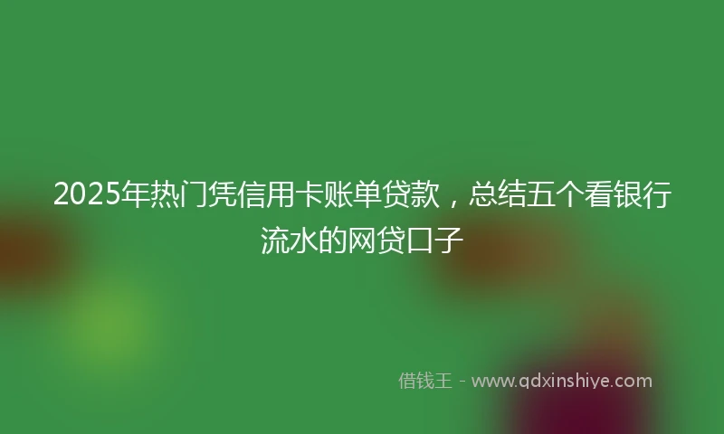 2025年热门凭信用卡账单贷款，总结五个看银行流水的网贷口子