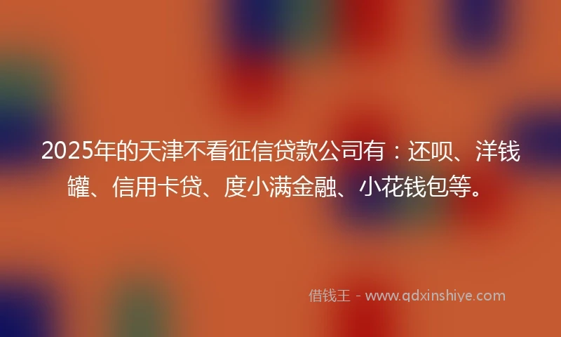 2025年的天津不看征信贷款公司有：还呗、洋钱罐、信用卡贷、度小满金融、小花钱包等。