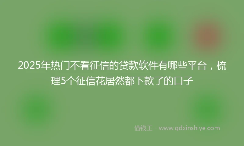 2025年热门不看征信的贷款软件有哪些平台，梳理5个征信花居然都下款了的口子