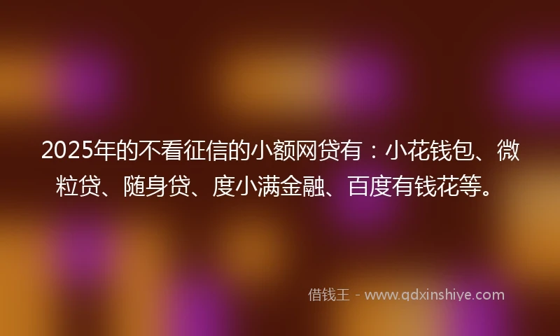 2025年的不看征信的小额网贷有：小花钱包、微粒贷、随身贷、度小满金融、百度有钱花等。