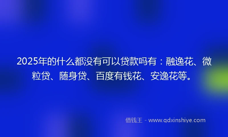 2025年的什么都没有可以贷款吗有：融逸花、微粒贷、随身贷、百度有钱花、安逸花等。