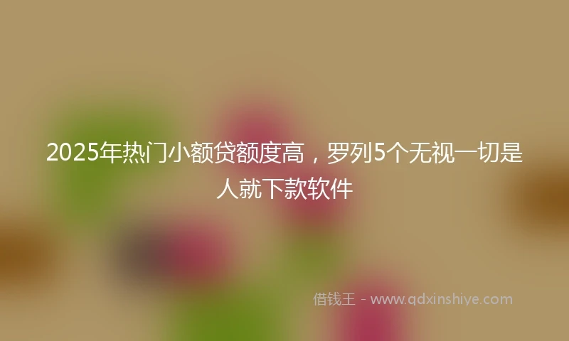 2025年热门小额贷额度高，罗列5个无视一切是人就下款软件