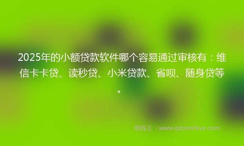 2025年的小额贷款软件哪个容易通过审核有：维信卡卡贷、读秒贷、小米贷款、省呗、随身贷等。