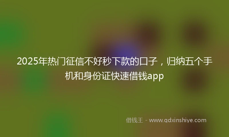 2025年热门征信不好秒下款的口子，归纳五个手机和身份证快速借钱app