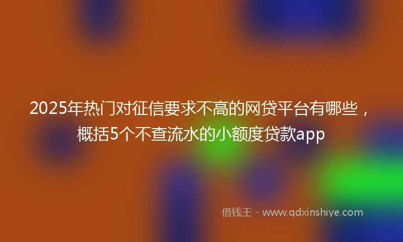 2025年热门对征信要求不高的网贷平台有哪些，概括5个不查流水的小额度贷款app