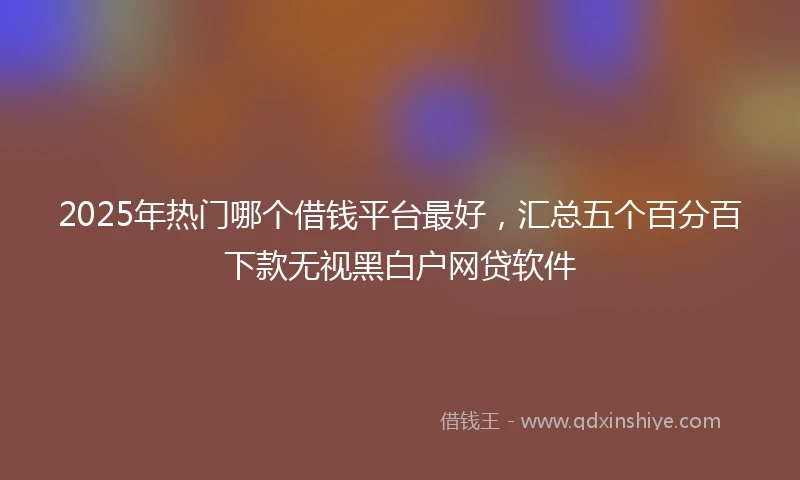 2025年热门哪个借钱平台最好,汇总五个百分百下款无视黑白户网贷软件