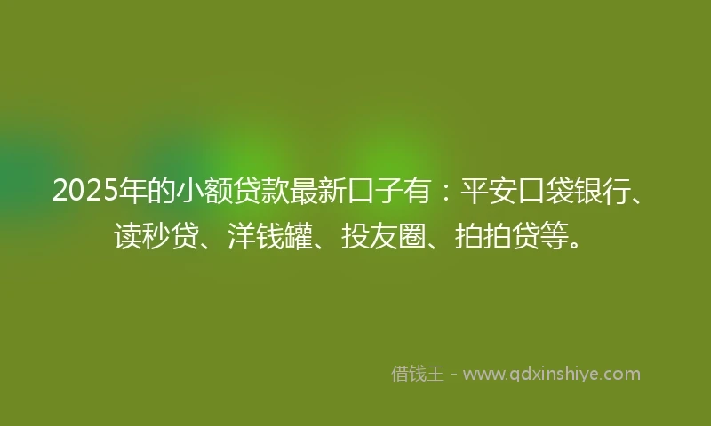 2025年的小额贷款最新口子有：平安口袋银行、读秒贷、洋钱罐、投友圈、拍拍贷等。