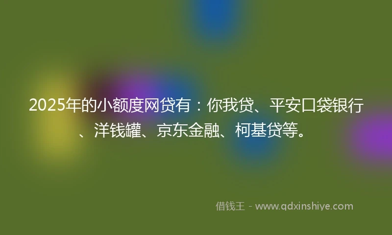 2025年的小额度网贷有：你我贷、平安口袋银行、洋钱罐、京东金融、柯基贷等。