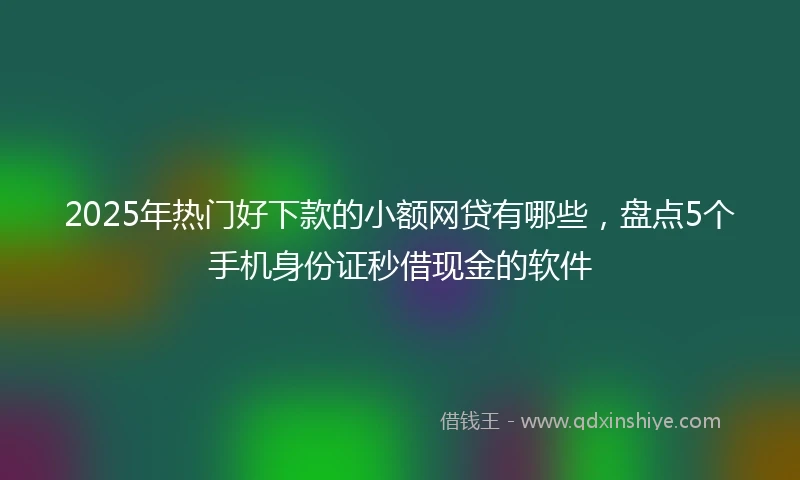 2025年热门好下款的小额网贷有哪些，盘点5个手机身份证秒借现金的软件